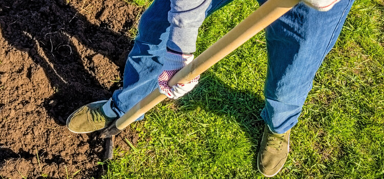 How to Dig a Garden Bed with a Shovel