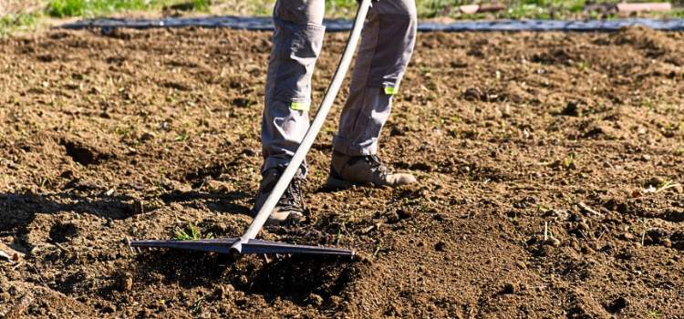 How to Dig a Garden Bed with a Shovel